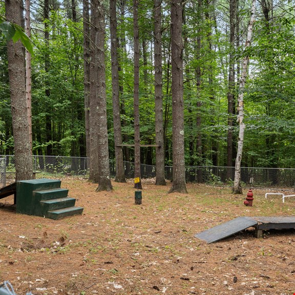 Off-Leash Dog Park
